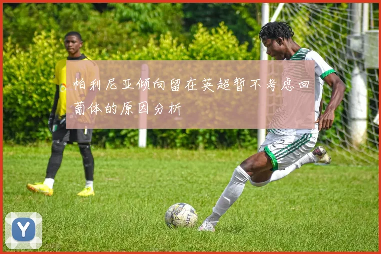 帕利尼亚倾向留在英超暂不考虑回葡体的原因分析