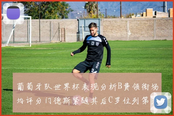 葡萄牙队世界杯表现分析B费领衔场均评分门德斯紧随其后C罗位列第九